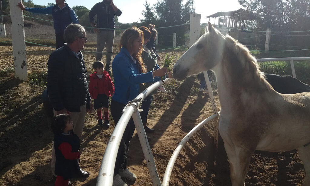 Caballos Tierrallana Entrepino 4 Proyecto de indagación sobre los animales