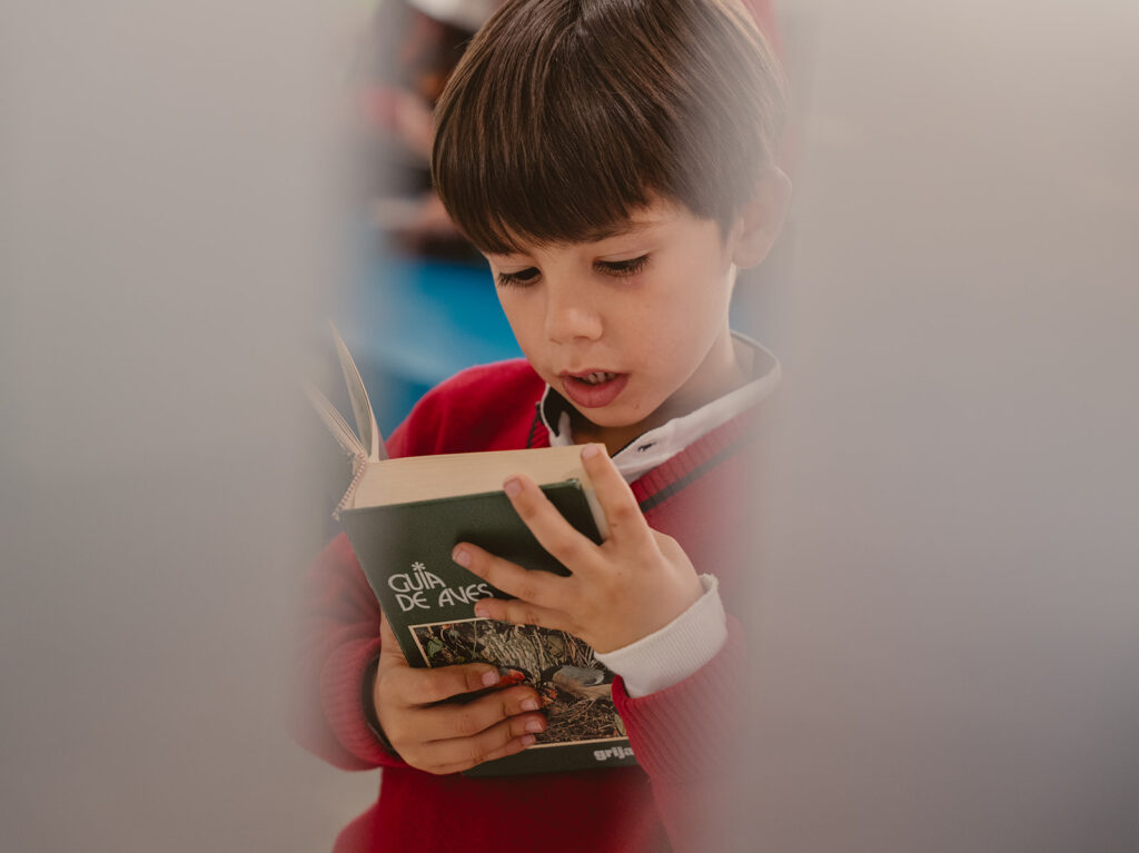El paso de Infantil a Primaria: 5 claves para acompañar a tu hijo en esta nueva etapa 3 Acompañar en la lectura